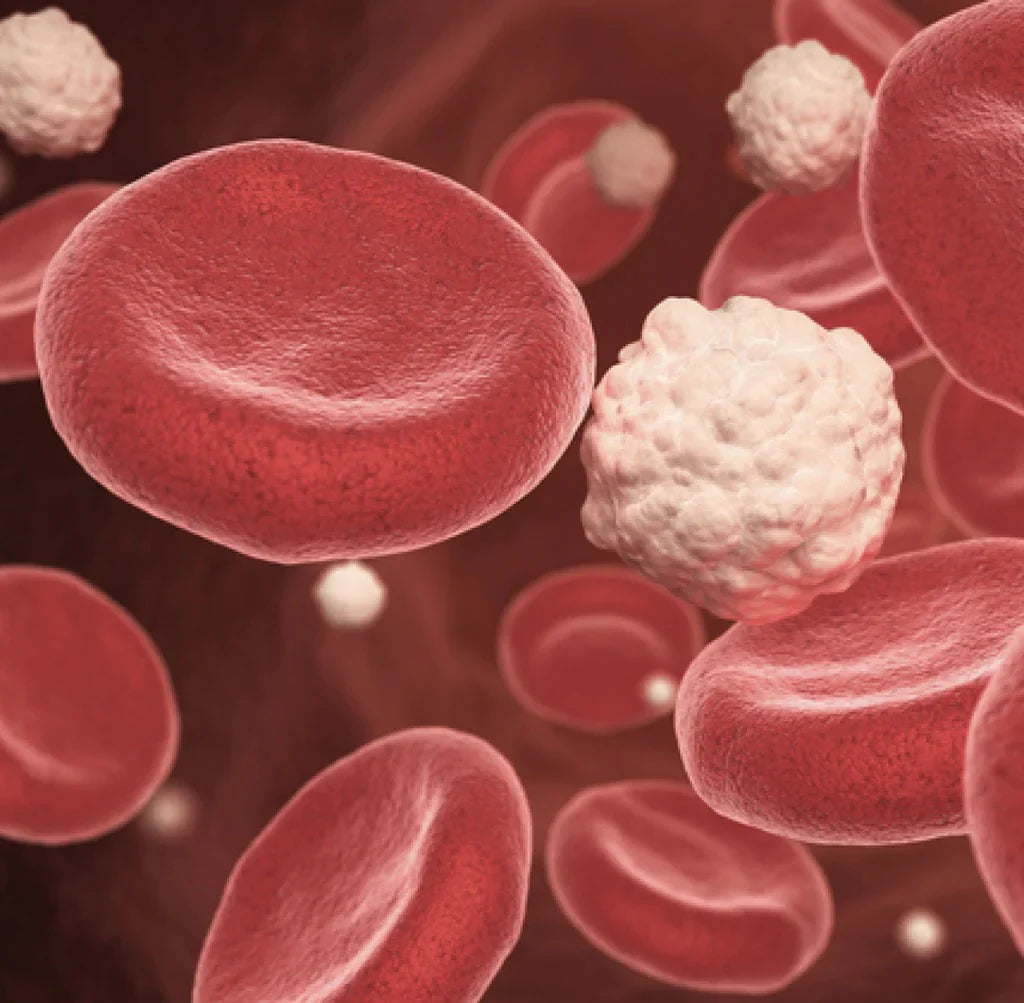 Heart, Gut & Bone Health Take Root